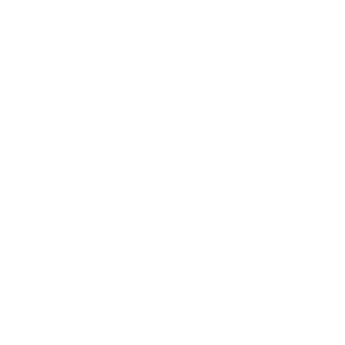 icon optimisation seo